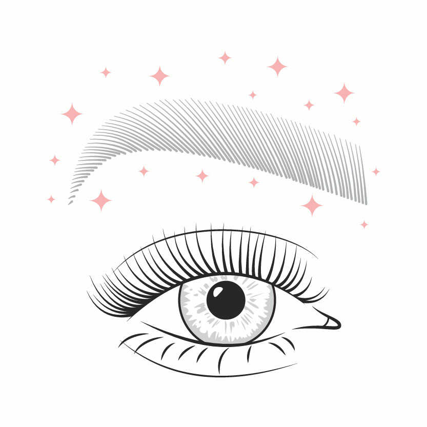lashes and brows illustration